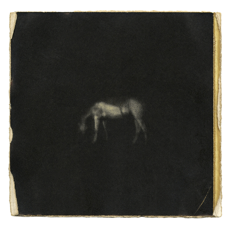 Accidental Portraits