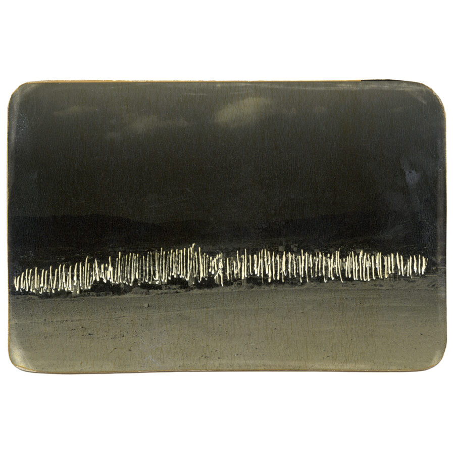 Accidental Portraits