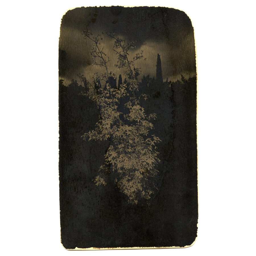 Accidental Portraits