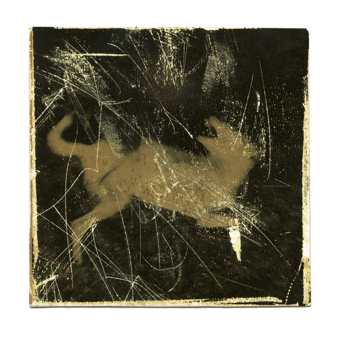 Accidental Portraits