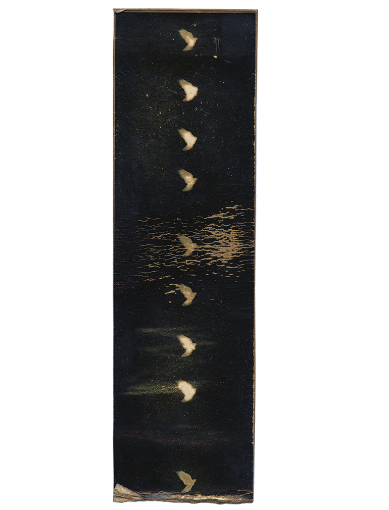 Accidental Portraits