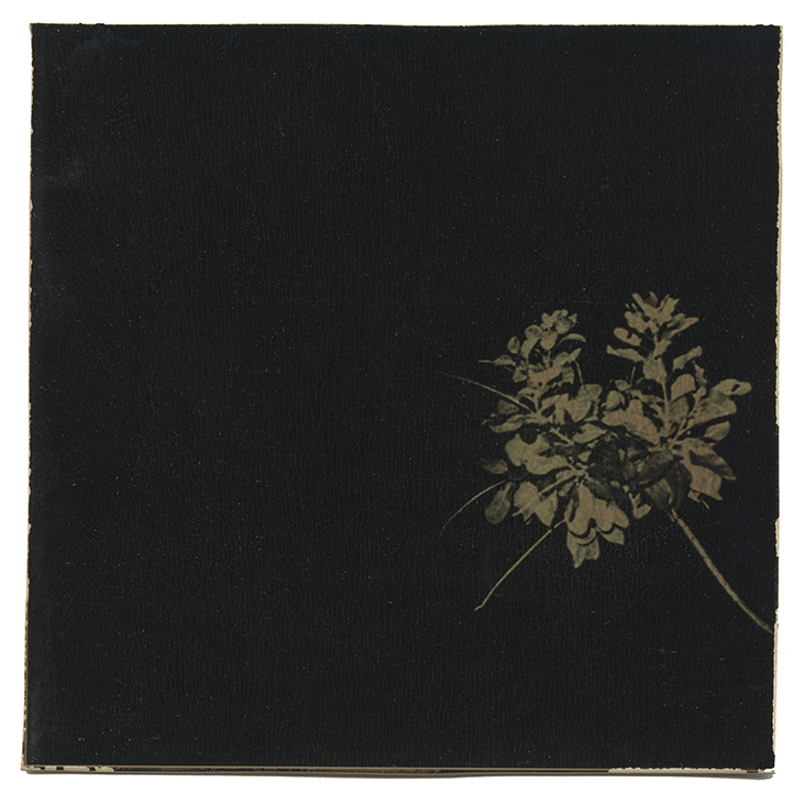 Accidental Portraits